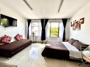 Apartaestudio Centro Pereira un solo ambiente