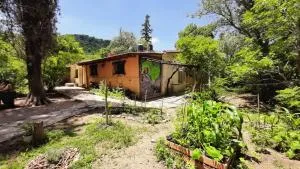 Alquimia - Charbonier