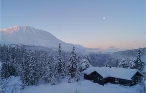 obrázek - Stunning Home In Rjukan With Wifi