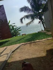 London Villa Secret Beach Mirissa