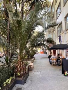 Condesa Residence Campeche 4 2B, 1 Bath Retreat Featuring Generous Spaces