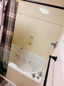 Cabin Retreat on 5 Acres