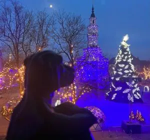 KAUNAS ATTIC, Apartment in the heart of Kaunas - Ringaudai