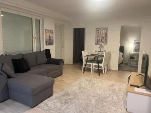Modern city apartment with Sauna nearby the Airport - Suutarila