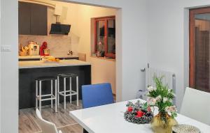 Amazing Home In Krsan With Kitchen 