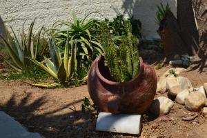 Stelios Zalonis Apartments