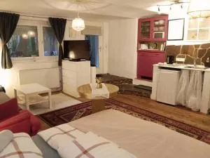 Studio in Altstadthaus - 格兰河畔圣法伊特