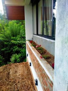 Ella nine arch spice garden