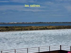 Maisons de vacances les salines : photos des chambres