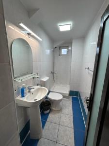Vila Artemis Straja