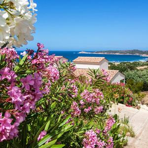 Appartements Residence Castugna : photos des chambres