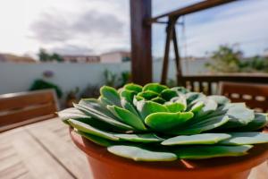 La Terrazza