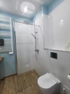 Apartament SKALNIAK