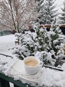 Casă de vacanță Chalet le Cristal