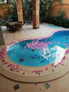 Cheerful standalone villa with pool and waterfall - 开罗