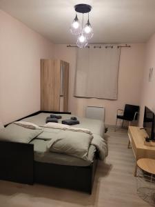 Appartements Beau studio dans le Vieux-Lille : photos des chambres