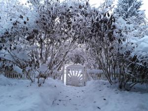 Ihana rivitalohuoneisto tarjolla