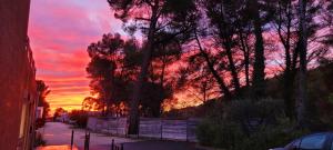 Campings Camping Aux Portes De Cassis : photos des chambres