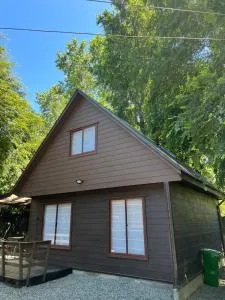 Cabaña El Nativo 2 - Licán Ray - Pullingue