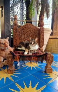 Riad Agraba, 1001 nights