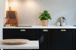 Elite Apartments Ogarna Spaces