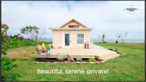 The Fishmongers Dream - Georgetown