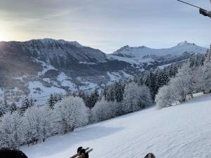 CHALET CONFIDENTIEL VALMOREL - Chalet de Haut de Gamme 4 étoiles 12 personnes