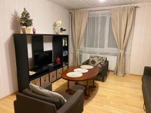 Cozy Center Apartment in Druskininkai