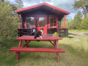 Economy cottage with Shared Bathroom room in Stora Sandfell Rooms and Cottages