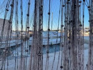 Mobilna kućica Tara, uvala Slanica, Murter