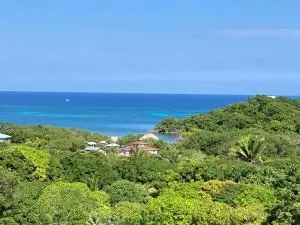 Apartment Diamond Hill Resort - Alligator Nose