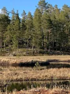 Velkommen til Finnskogen og minihytta Rimbila - Magnor