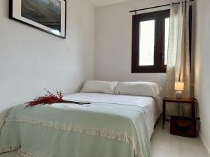 Bosque. Con vistas a pistas. Pirineos360