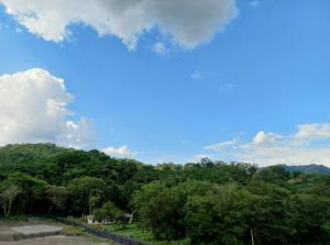 Apartamento en entorno natural