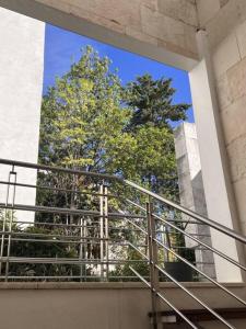 Condesa Residence Amsterdam 103 Sunny 1Bed 1Bath on Amsterdam AV