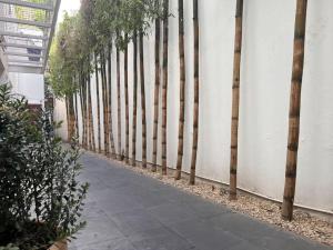 Condesa Residence Amsterdam 203 Shiny 1Bed 1Bath on Amsterdam Av