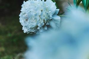 MA PU LODGE Futaleufu