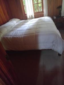 Los Quetzales Ecolodge & Spa