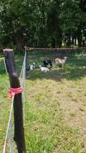 Santa Filomena Camping - 圣丽塔-杜帕萨夸特鲁