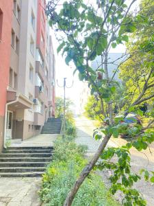 Апартамент Панорама Трявна - кът за отдих, въздухолечение и почивка