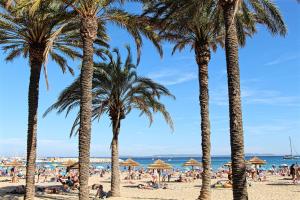 Hotels Hotel Le Rabelais : photos des chambres