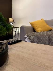 Appartements VILLA GABY ~ Jardinet ~ hyper-centre : photos des chambres