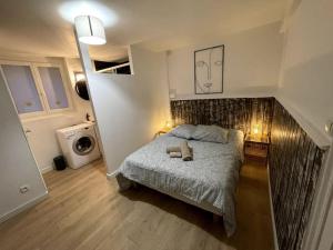 Appartements VILLA GABY ~ Jardinet ~ hyper-centre : photos des chambres