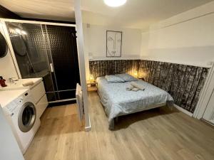 Appartements VILLA GABY ~ Jardinet ~ hyper-centre : photos des chambres
