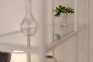 Garden View Apartment