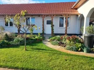 DE BLOEMENTUIN / A VIRÁGOSKERT - Egyek