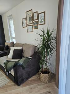 Studio apartman Verte