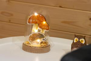 camping pod Lyts Dekema 3