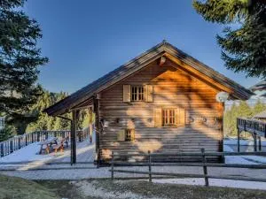 1A Chalet Koralpenzauber - Wandern, Grillen, Sauna und Traumblick - Goding