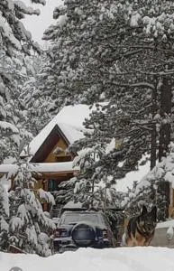 Planinska kuca Lunjo & Vuk - Dobroselica